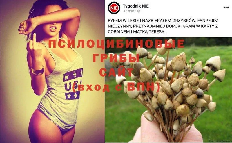 Галлюциногенные грибы Magic Shrooms  ссылка на мегу ONION  Новопавловск 