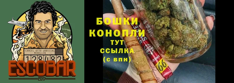 Каннабис White Widow  маркетплейс как зайти  omg онион  Новопавловск  даркнет сайт 